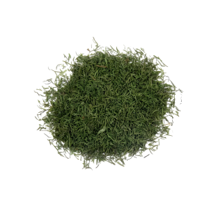 DILL