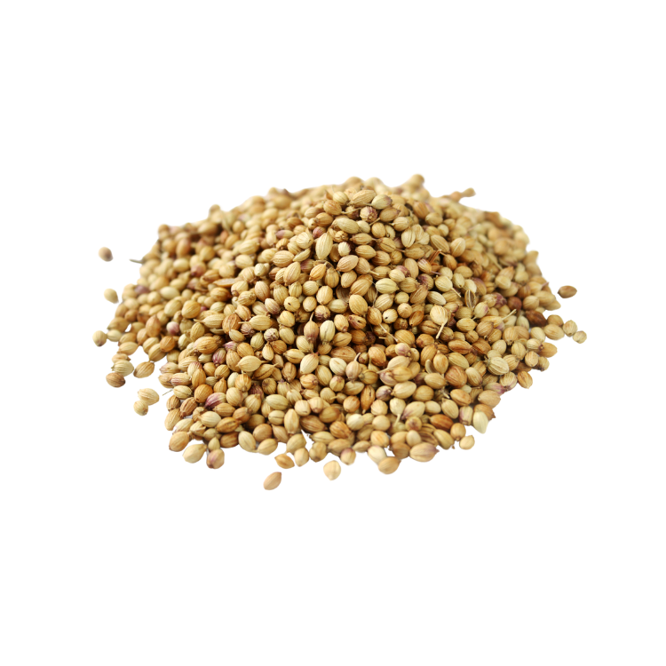 CORIANDER