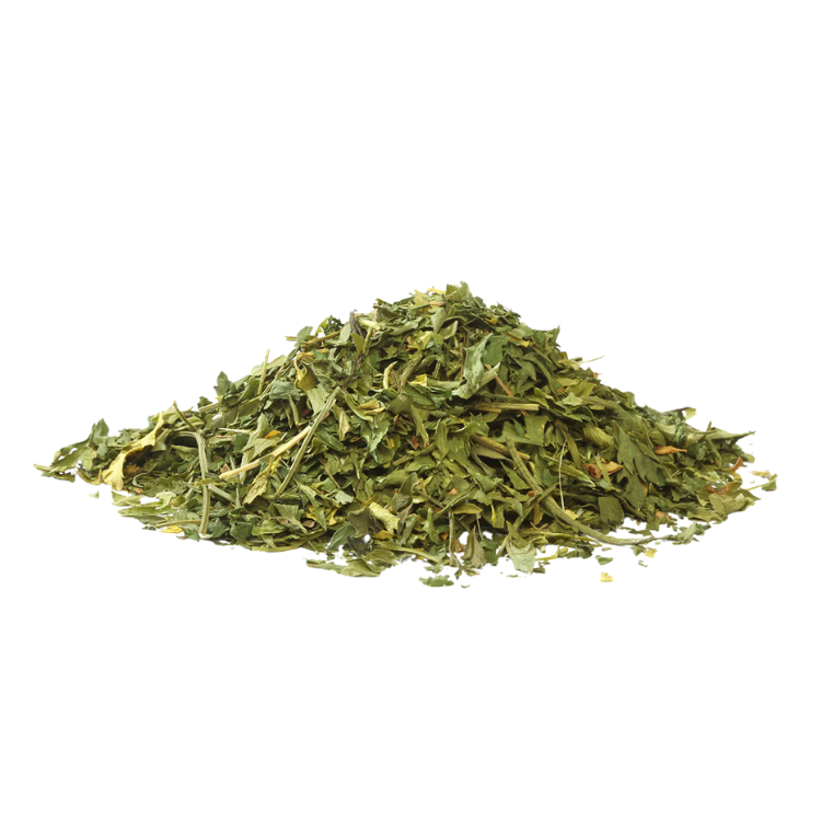 CILANTRO