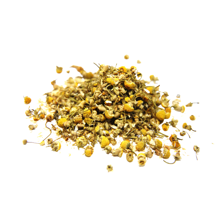 CHAMOMILE