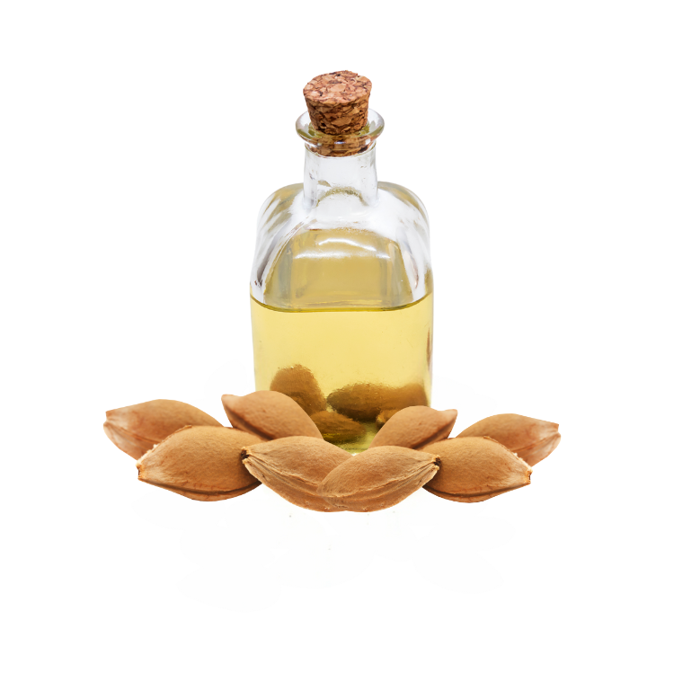 Apricot Oil