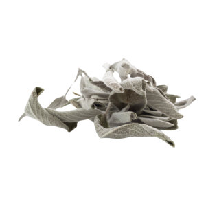 SAGE